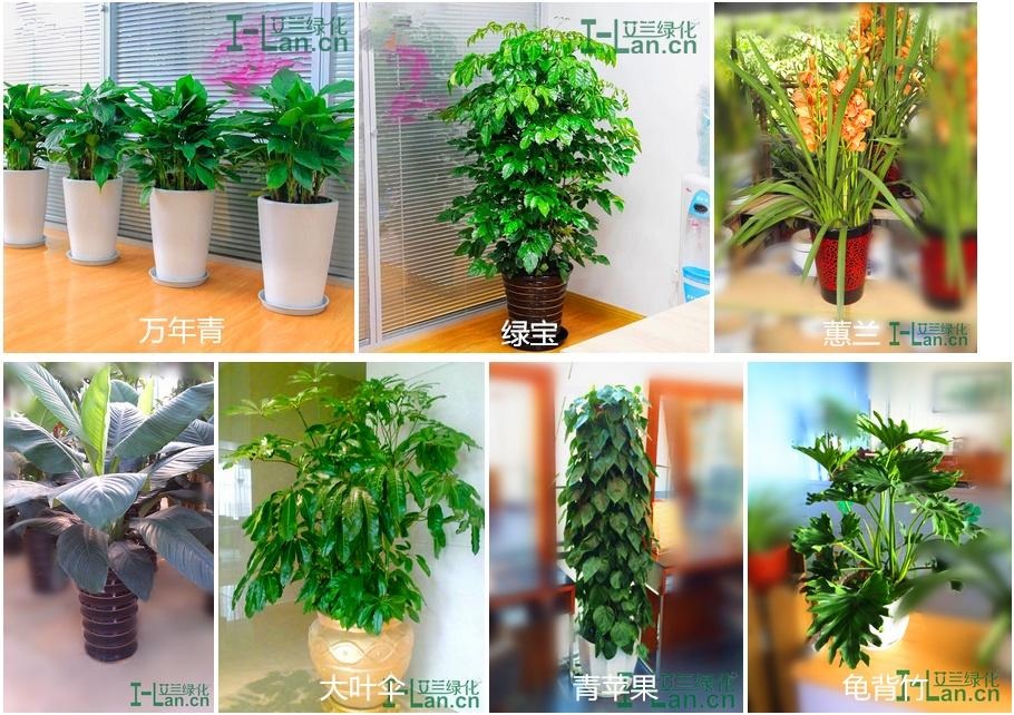 首页- TapTap点点体育官方网站