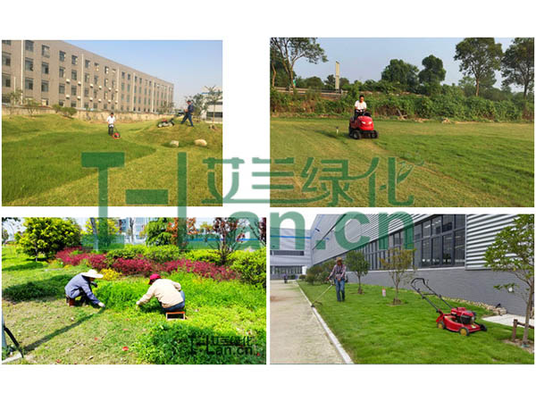 城市园林绿化的重点有哪些？