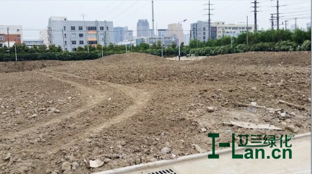 首页- TapTap点点体育官方网站