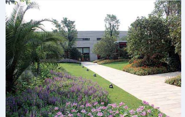 首页- TapTap点点体育官方网站